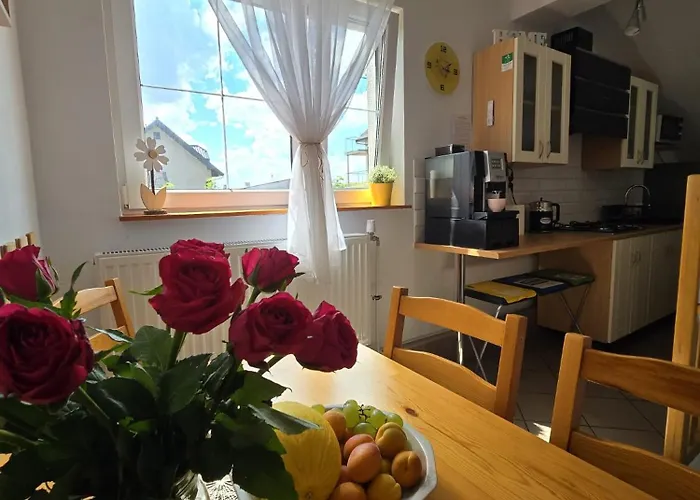 Mango Chlapowo * Władysławowo